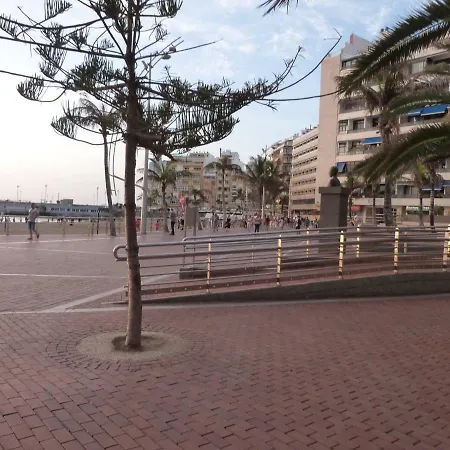 Palmeras Playa Лас-Пальмас-де-Гран-Канария